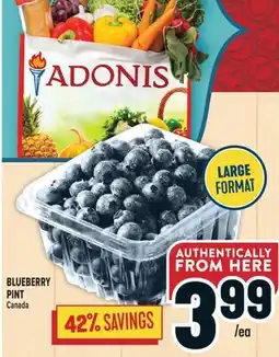 Marché Adonis BLUEBERRY PINT offer