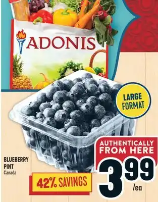 Marché Adonis BLUEBERRY PINT offer