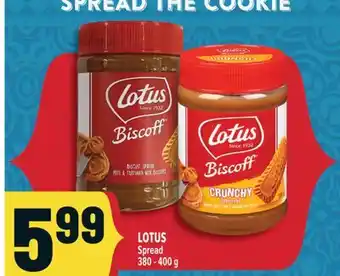 Marché Adonis LOTUS Spread offer