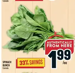 Marché Adonis SPINACH BUNCH offer