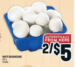 Marché Adonis WHITE MUSHROOMS offer