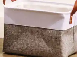 Giant Tiger Bin with handles offer