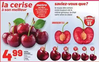 Metro CERISES COLOSSALES | COLOSSAL CHERRIES offer