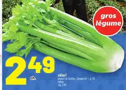 Metro CÉLERI | CELERY offer