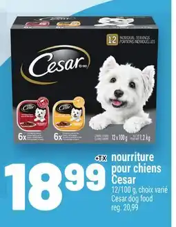 Metro NOURRITURE POUR CHIENS CESAR | CESAR DOG FOOD offer