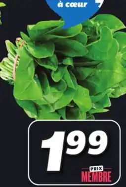 IGA SPINACH offer