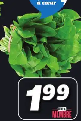 IGA SPINACH offer