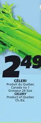 IGA CELERY offer
