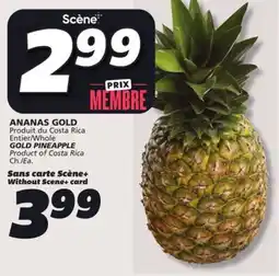 IGA GOLD PINEAPPLE offer