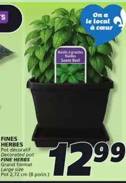 IGA FINE HERBS offer