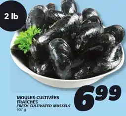 IGA FRESH CULTIVATED MUSSELS offer