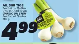 IGA GARLIC ON STEM offer