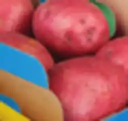 IGA WHITE, RED OR YELLOW POTATO BASKET offer