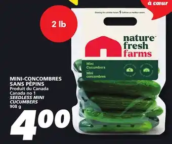 IGA SEEDLESS MINI CUCUMBERS offer