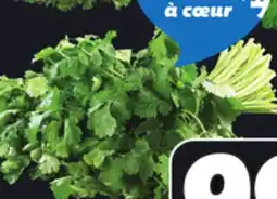 IGA FRESH CORIANDER offer