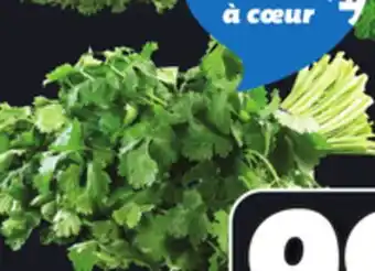 IGA FRESH CORIANDER offer