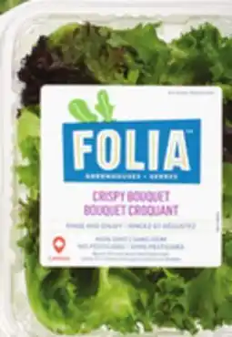 IGA FOLIA LETTUCE OR LETTUCE MIX OR GREENHOUSE LETTUCE offer