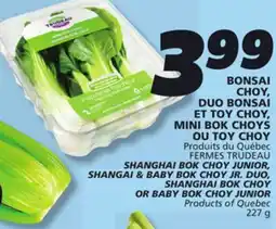 IGA SHANGHAI BOK CHOY JUNIOR, SHANGAI & BABY BOK CHOY JR. DUO, SHANGHAI BOK CHOY OR BABY BOK CHOY JUNIOR offer