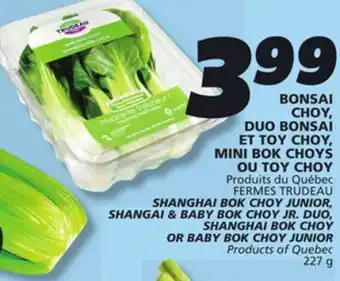IGA SHANGHAI BOK CHOY JUNIOR, SHANGAI & BABY BOK CHOY JR. DUO, SHANGHAI BOK CHOY OR BABY BOK CHOY JUNIOR offer