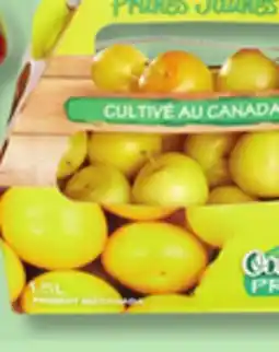 IGA YELLOW PLUMS offer