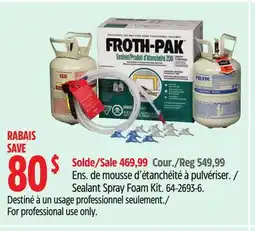 Canadian Tire Froth Pak Sealant Spray Foam Kit offer