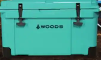 Canadian Tire Woods ARCTIC Roto-Moulded Cooler, 35-L, Parrot Green offer