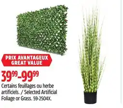 Canadian Tire Selected Artificial Foliage or Grass offer