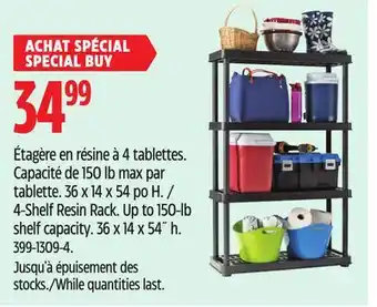 Canadian Tire TuffStore 4-Shelf Resin Rack offer