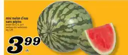 Marché Richelieu Mini melon d'eau sans pépins | Seedless Mini Watermelon offer