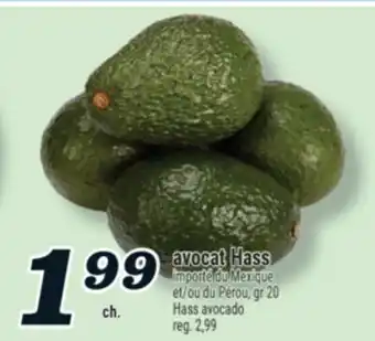 Marché Richelieu AVOCAT HASS | HASS AVOCADO offer