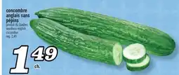 Marché Richelieu CONCOMBRE ANGLAIS SANS PÉPINS | SEEDLESS ENGLISH CUCUMBER offer