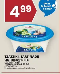 Rachelle-Bery Grocery FONTAINE SANTÉ TZATZIKI, SPREAD OR DIP offer
