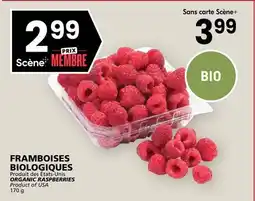 Rachelle-Bery Grocery ORGANIC RASPBERRIES offer
