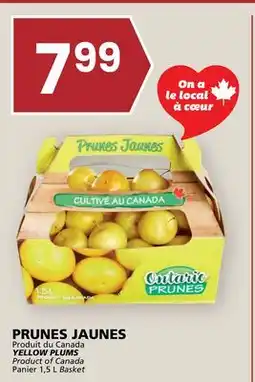 Rachelle-Bery Grocery YELLOW PLUMS offer