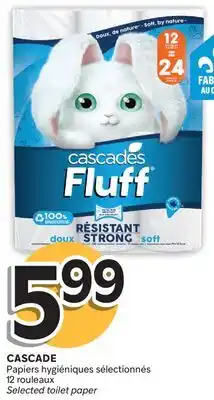 Brunet CASCADE Papiers hygiéniques sélectionnés offer
