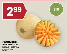 Rachelle-Bery Grocery ORGANIC CANTALOUP offer
