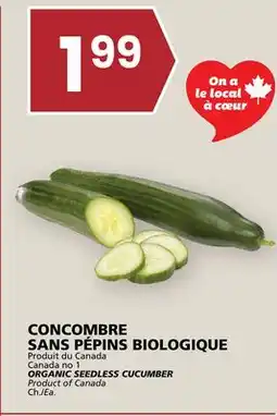Rachelle-Bery Grocery ORGANIC SEEDLESS CUCUMBER offer