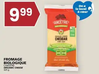 Rachelle-Bery Grocery L'ANCÊTRE ORGANIC CHEESE offer