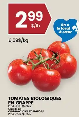 Rachelle-Bery Grocery ORGANIC VINE TOMATOES offer