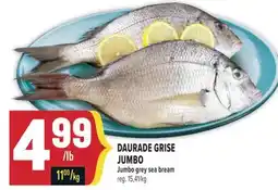 Marché Adonis DAURADE GRISE JUMBO | Jumbo grey sea bream offer