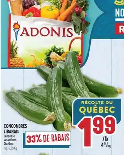 Marché Adonis CONCOMBRES LIBANAIS | LEBANESE CUCUMBERS offer