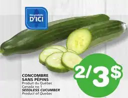 Marches Tradition SEEDLESS CUCUMBER offer