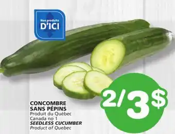 Marches Tradition SEEDLESS CUCUMBER offer