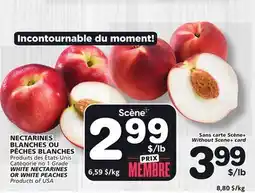 Marches Tradition WHITE NECTARINES OR WHITE PEACHES offer