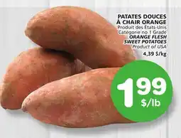 Marches Tradition ORANGE FLESH SWEET POTATOES offer