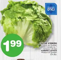 Marches Tradition ICEBERG LAITUCE offer