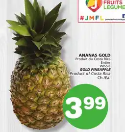Marches Tradition GOLD PINEAPPLE offer