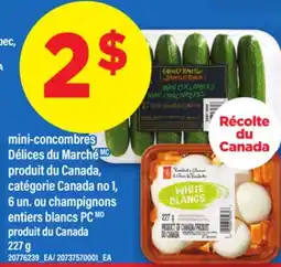 Maxi MINI-CONCOMBRES DÉLICES DU MARCHÉ 6 UN. OU CHAMPIGNONS ENTIERS BLANCS PC, 227 G offer