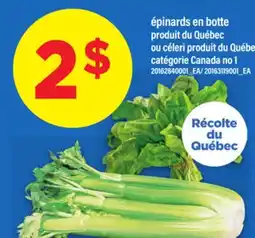 Maxi ÉPINARDS EN BOTTE OU CÉLERI offer