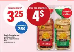 Maxi BAGELS COUNTRY HARVEST | bagels, 6 un offer